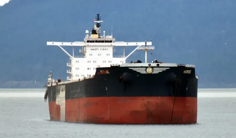 HEROIC Bulk Carrier IMO 9510199 photo 5