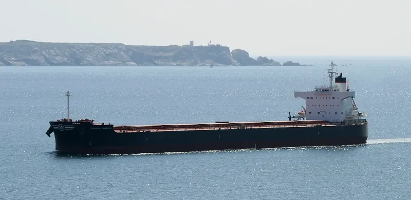 PANAMAX CHRISTINA Bulk Carrier IMO 9510319 photo 7