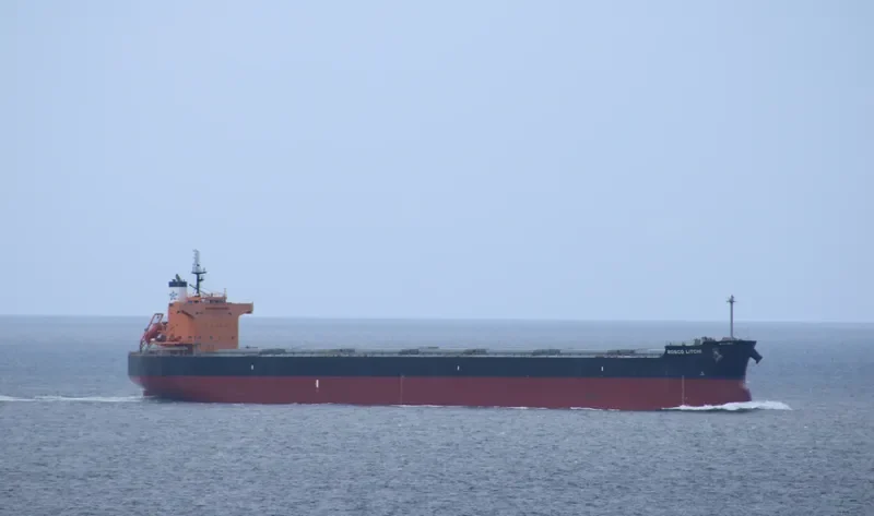 ROSCO LITCHI Bulk Carrier IMO 9510333