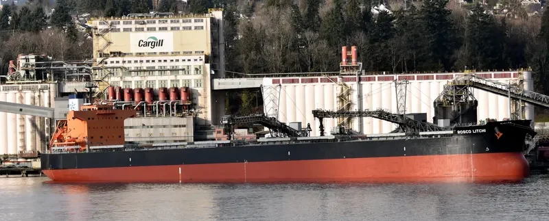 ROSCO LITCHI Bulk Carrier IMO 9510333 photo 5