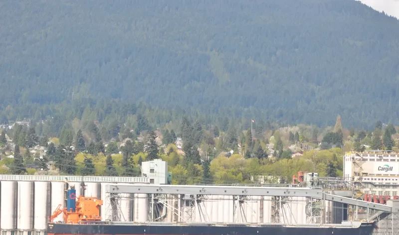 ROSCO LITCHI Bulk Carrier IMO 9510333 photo 6