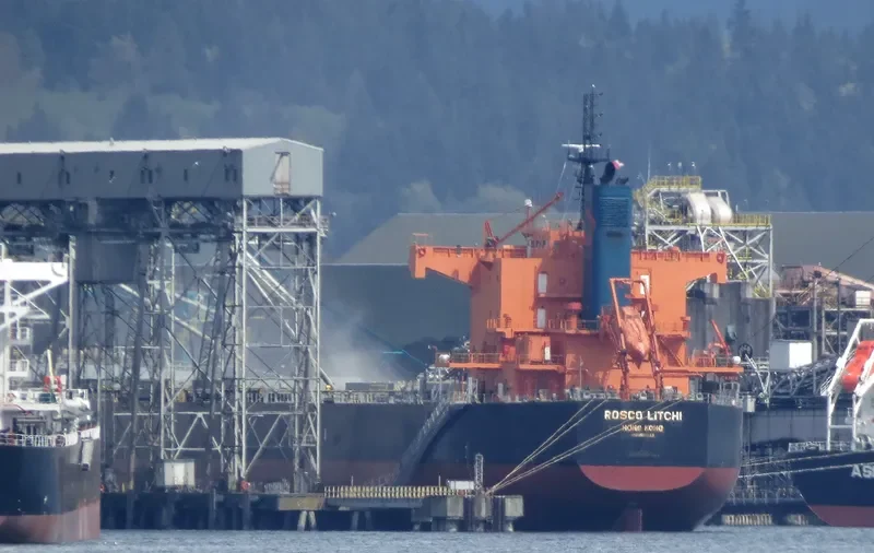 ROSCO LITCHI Bulk Carrier IMO 9510333 photo 8