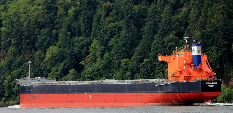 ROSCO PALM Bulk Carrier IMO 9510345 photo 3