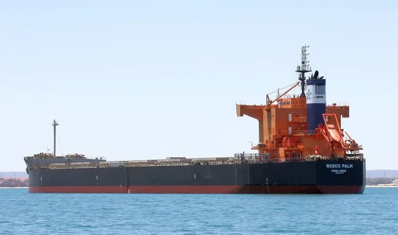 ROSCO PALM Bulk Carrier IMO 9510345 photo 6