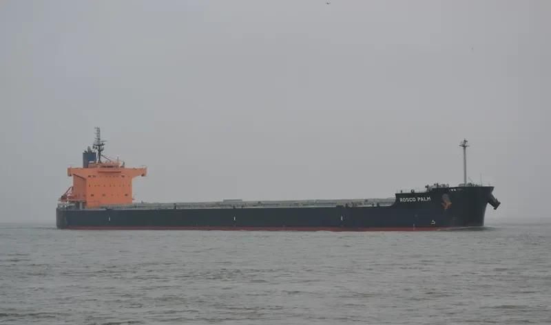 ROSCO PALM Bulk Carrier IMO 9510345 photo 7