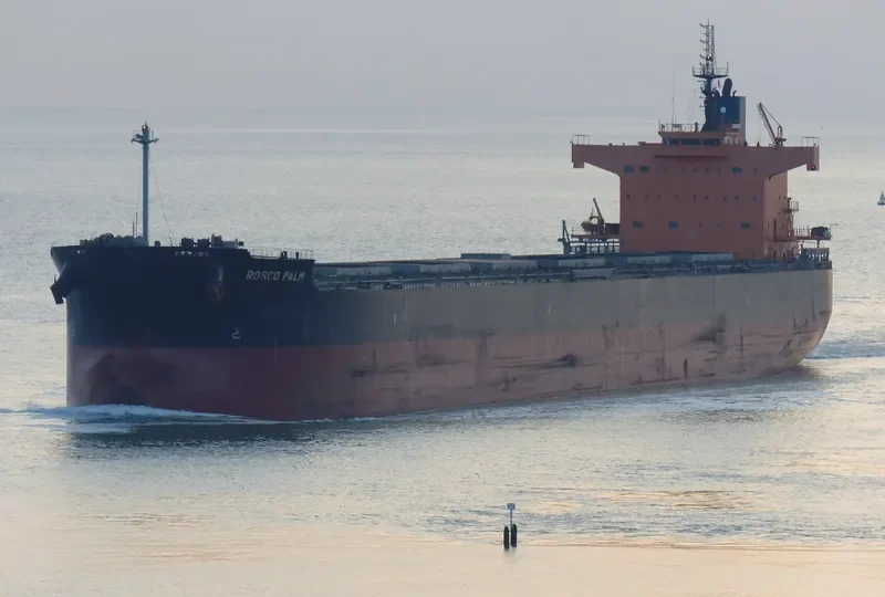 ROSCO PALM Bulk Carrier IMO 9510345 photo 8