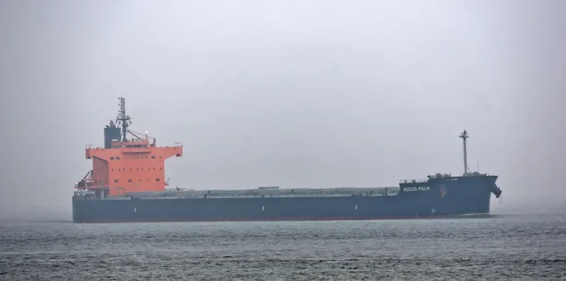 ROSCO PALM Bulk Carrier IMO 9510345 photo 9
