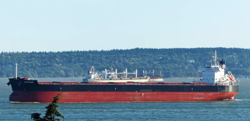 ARISTIDIS Bulk Carrier IMO 9510369 photo 3