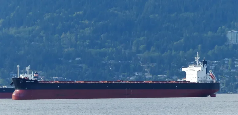 ARISTIDIS Bulk Carrier IMO 9510369 photo 7