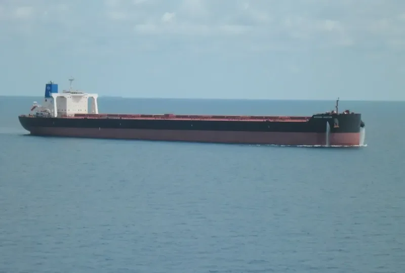 WUGANG HAOYUN Bulk Carrier IMO 9510474 photo 3