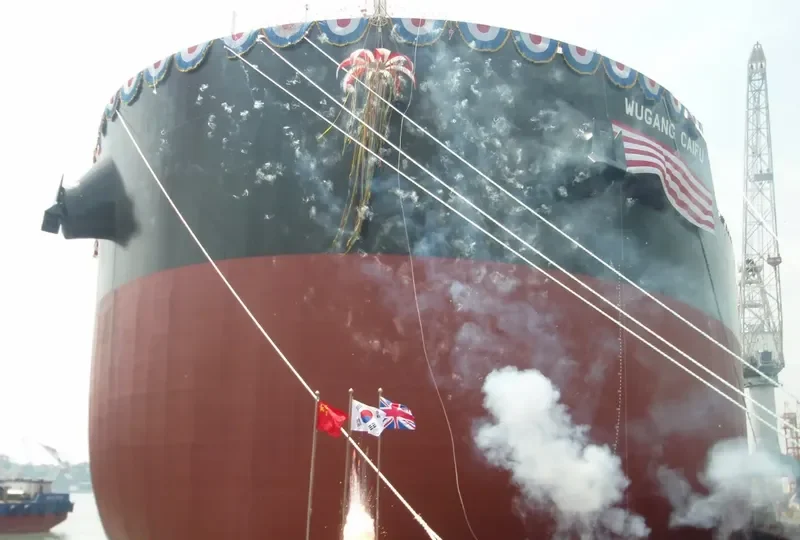 WUGANG CAIFU Bulk Carrier IMO 9510486