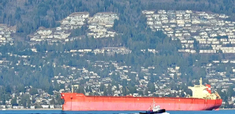 PAN ACACIA Bulk Carrier IMO 9510515 photo 2