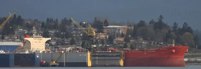PAN ACACIA Bulk Carrier IMO 9510515 photo 8
