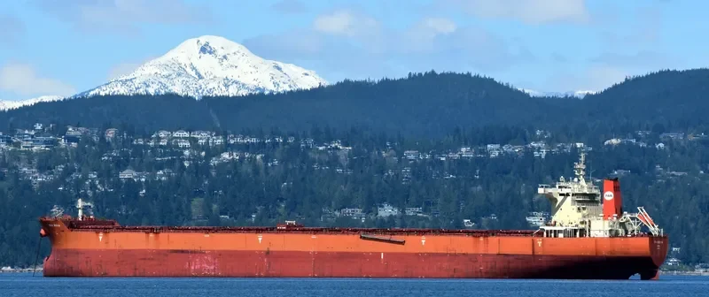 PAN BONA Bulk Carrier IMO 9510527 photo 3