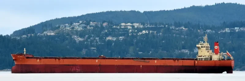 PAN BONA Bulk Carrier IMO 9510527 photo 4