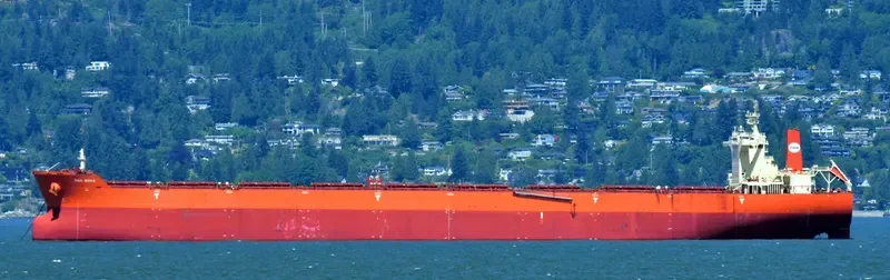 PAN BONA Bulk Carrier IMO 9510527 photo 10