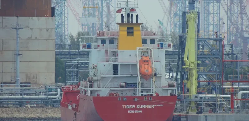 TIGER SUMMER Tanker IMO 9510553