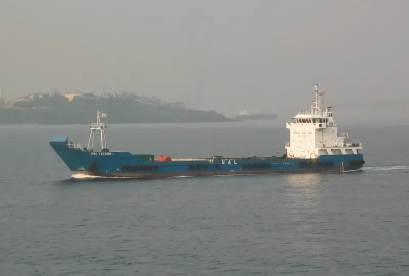 QUELLONINA II General Cargo IMO 9510606 photo 3