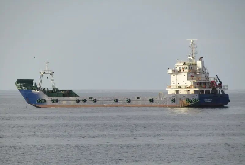 QUELLONINA II General Cargo IMO 9510606 photo 5