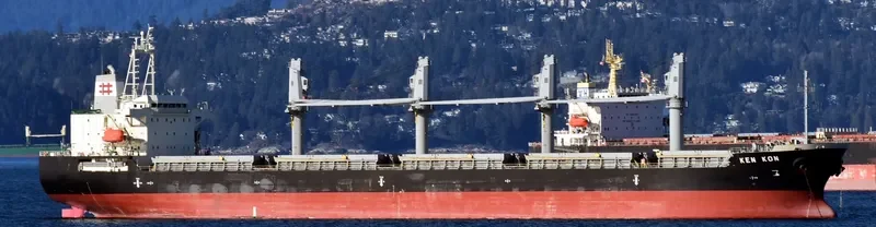 KEN KON Bulk Carrier IMO 9510929 photo 7
