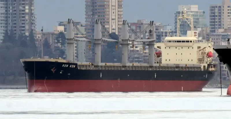 KEN KON Bulk Carrier IMO 9510929 photo 9