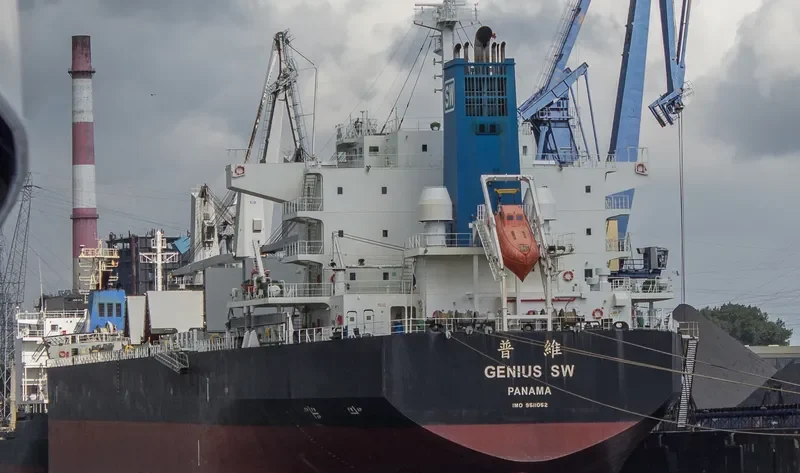 GENIUS SW Bulk Carrier IMO 9511052 photo 4