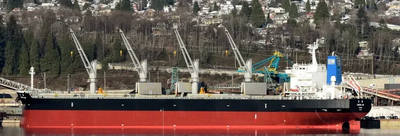 GENIUS SW Bulk Carrier IMO 9511052 photo 8