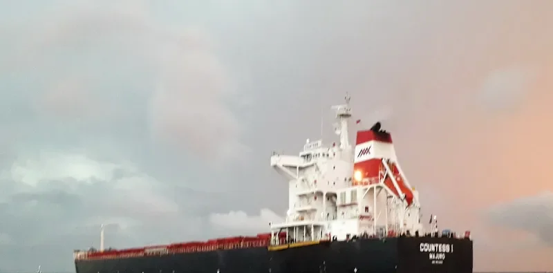 XI LONG 18 Bulk Carrier IMO 9511260 photo 9