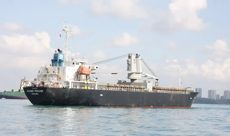 HOSEI OCEAN General Cargo IMO 9511351 photo 3