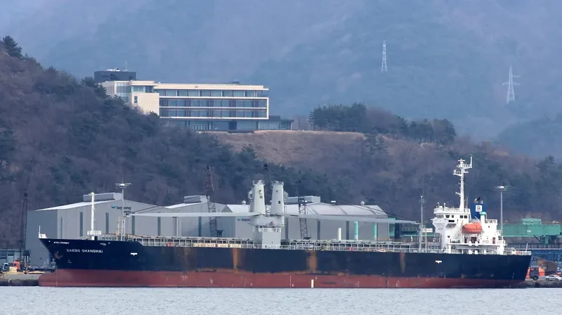 HOSEI 8 General Cargo IMO 9511363 photo 2