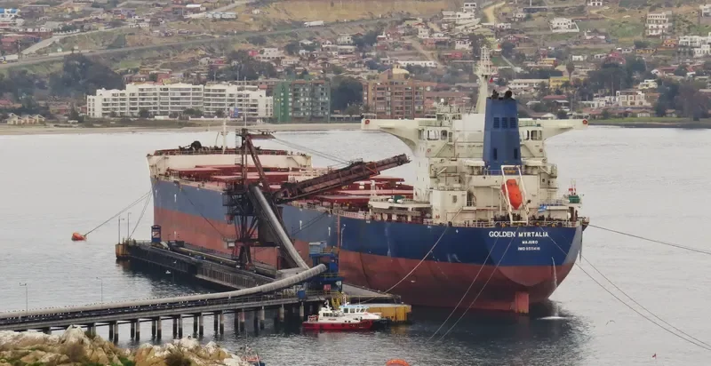 GOLDEN MYRTALIA Bulk Carrier IMO 9511416 photo 4