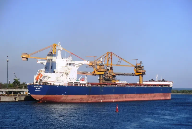 GOLDEN MYRTALIA Bulk Carrier IMO 9511416 photo 7