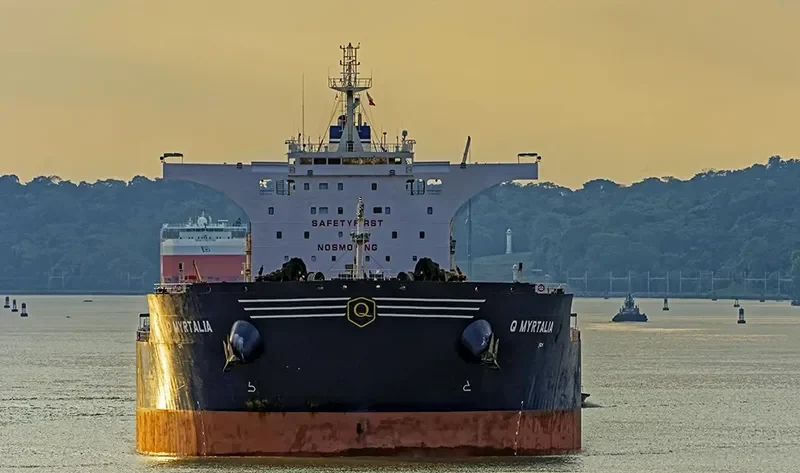 GOLDEN MYRTALIA Bulk Carrier IMO 9511416 photo 9