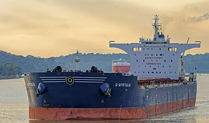 GOLDEN MYRTALIA Bulk Carrier IMO 9511416 photo 10