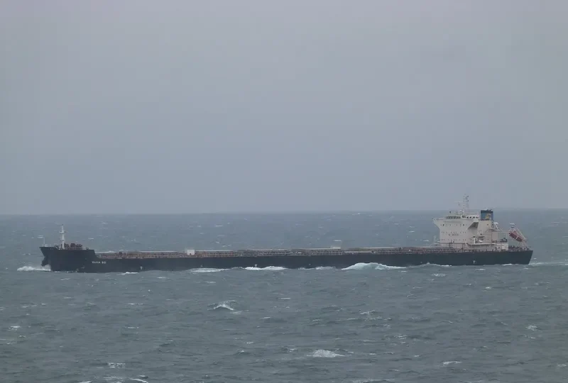 MARIA G.O. Bulk Carrier IMO 9511428 photo 2