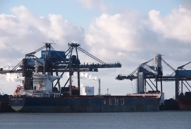 RESILIENCE Bulk Carrier IMO 9511454 photo 3