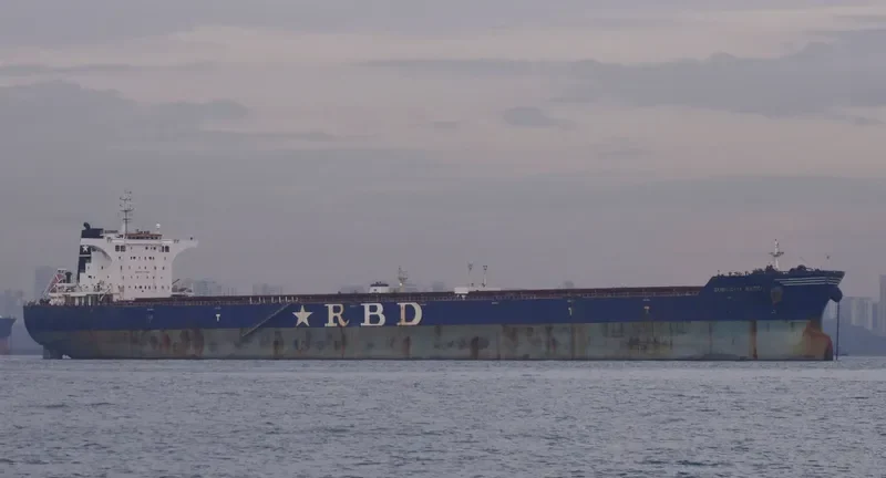 RESILIENCE Bulk Carrier IMO 9511454 photo 6