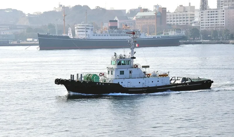 ARASAKIMARU General Cargo IMO 9511557 photo 8