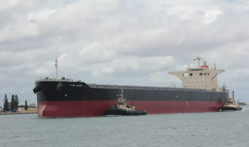 TTM HOPE Bulk Carrier IMO 9512044