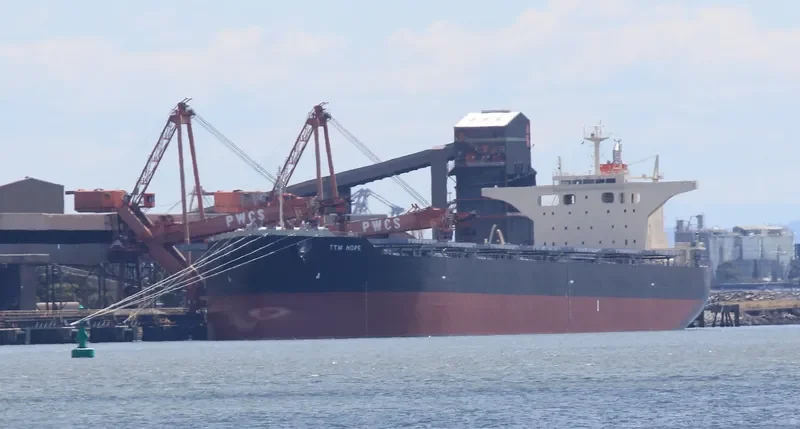 TTM HOPE Bulk Carrier IMO 9512044 photo 4