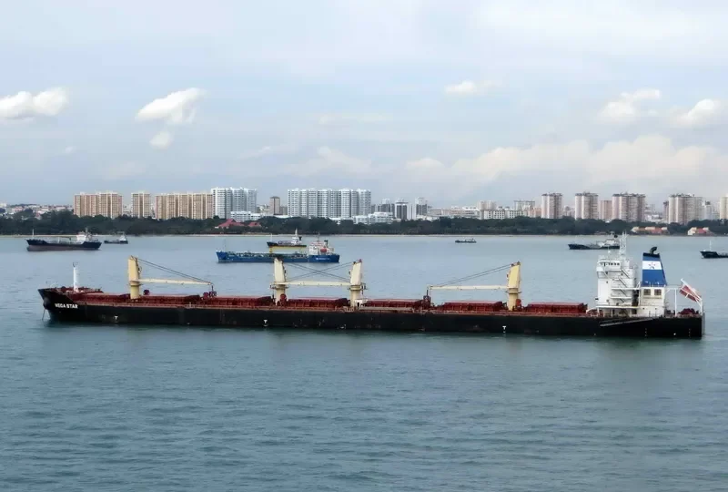 ESHIPS DUGON Bulk Carrier IMO 9512202 photo 2