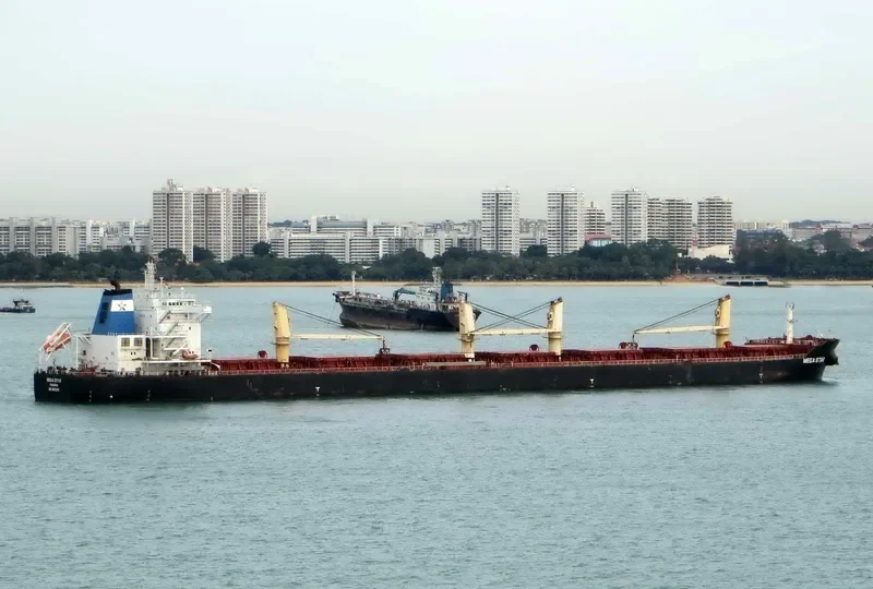 ESHIPS DUGON Bulk Carrier IMO 9512202 photo 4
