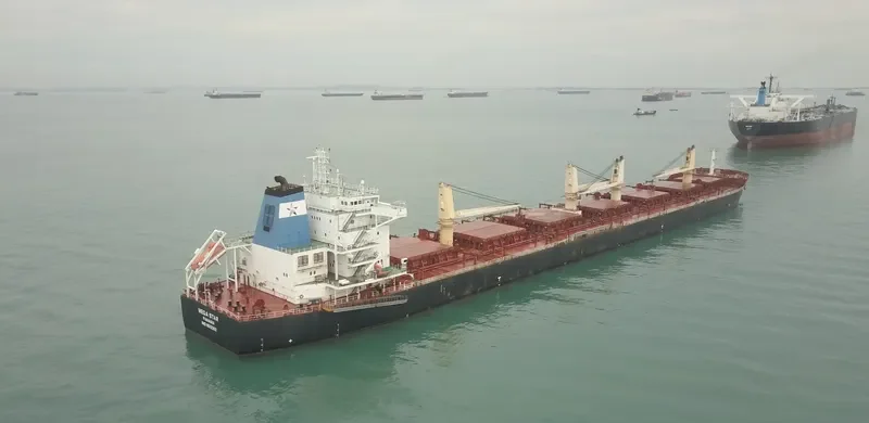 ESHIPS DUGON Bulk Carrier IMO 9512202 photo 5