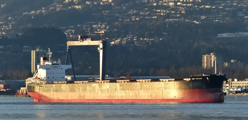 KEY FUTURE Bulk Carrier IMO 9512329 photo 4