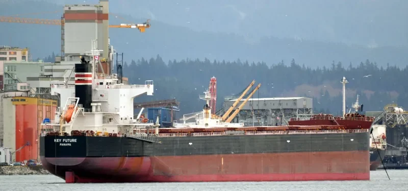KEY FUTURE Bulk Carrier IMO 9512329 photo 7