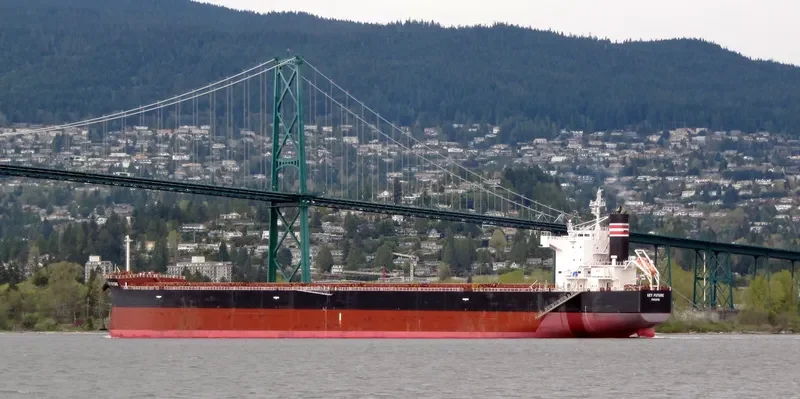 KEY FUTURE Bulk Carrier IMO 9512329 photo 9
