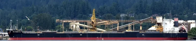 NBA MAGRITTE Bulk Carrier IMO 9512331
