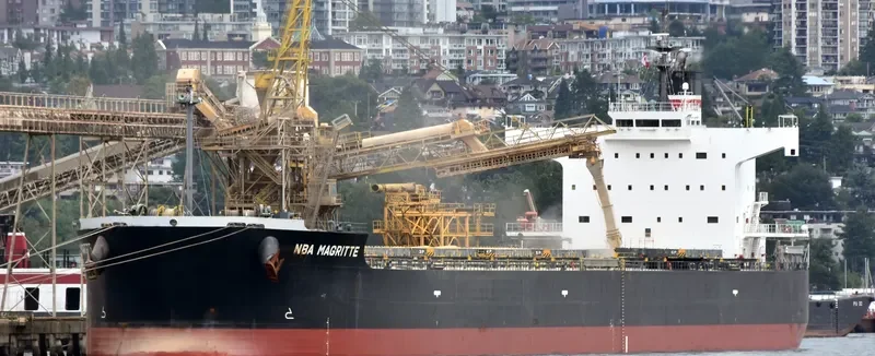 NBA MAGRITTE Bulk Carrier IMO 9512331 photo 2