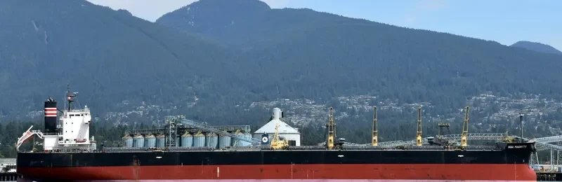 NBA MAGRITTE Bulk Carrier IMO 9512331 photo 6