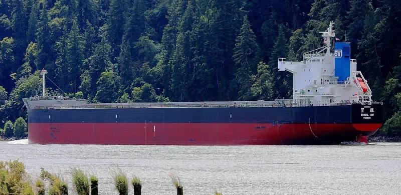 PESCADORES SW Bulk Carrier IMO 9512343 photo 2